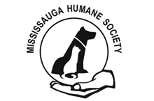 Charity logo