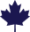 maple leaf